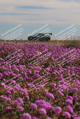 media/Jan-08-2023-SCCA SD (Sun) [[8f6a5b9391]]/Intermediate Group/Session 2 (Short Straight)/